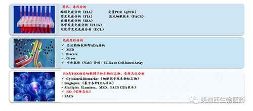 BB贝博生物技术药物分析部服务内容