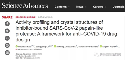 钻研者揭示了节造PLpro底物特异性的分子规定