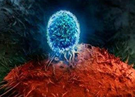 Nature：BATF3改善T细胞影象应答，有望改善免疫疗法的疗效