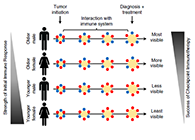 到底为什么ICB疗法在年轻女性肿瘤患者体内收效甚微？