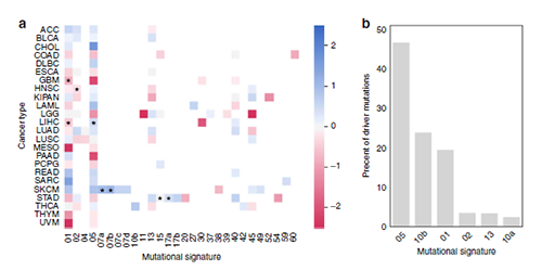 突变信号不能诠释差距选择