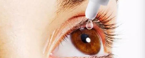 BB贝博毒理钻研