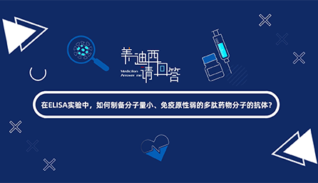 在ELISA尝试，若何造备分子量幼、免疫原性弱的多肽药物分子的抗体？