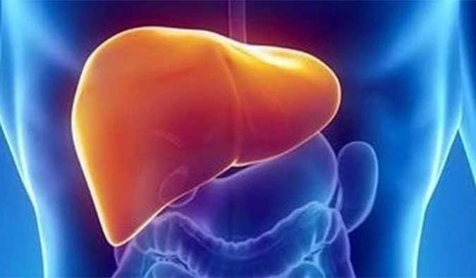 【BB贝博助力】NASH领域新进展！海普丁HPD001即将在美启动临床试验