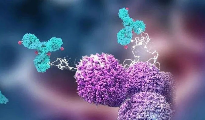 BB贝博助力国产靶向叶酸受体FRα ADC注射用BAT8006获批临床