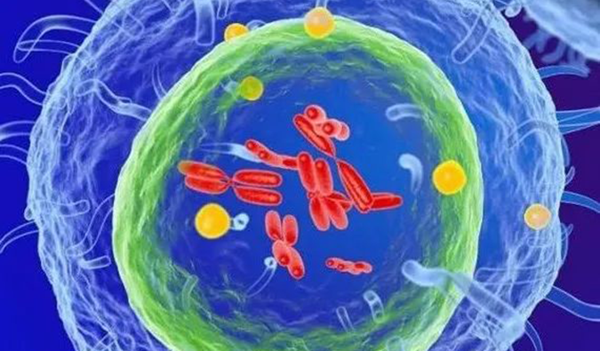 BB贝博助力 | 信诺维抗肿瘤1类新药XNW14010获批临床