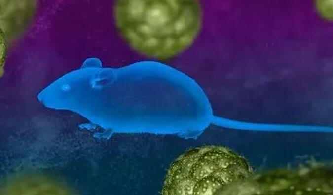 BB贝博药效服务赋能First-in-Class泛素化抑造剂研发