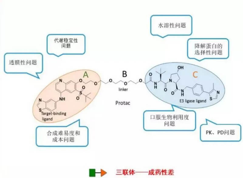 PROTAC分子量较大，溶化性较差.jpg