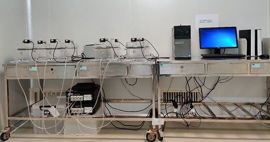 全身段积扫描系统