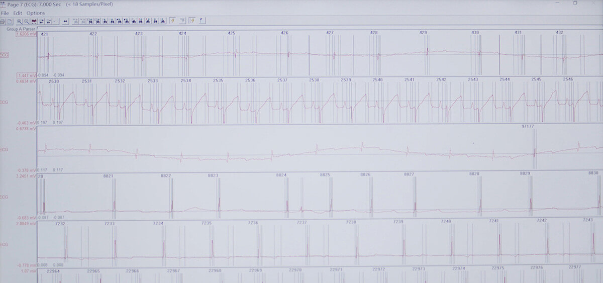 BB贝博 SEND 数据转换平台