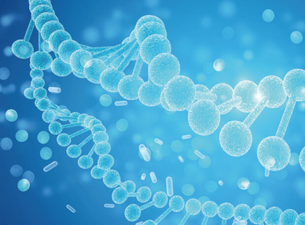 BB贝博新分子类型钻研会系列 | 一站式赋能核酸药物和疫苗研发及临床专场