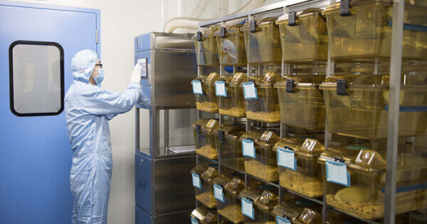 SPF级尝试动物房，专业合规的尝试治理系统.jpg