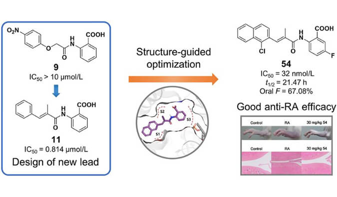 设计合成一系列DHODH抑造剂作为潜在的类风湿性关节炎医治药物，本钻研中PK尝试通过BB贝博进行