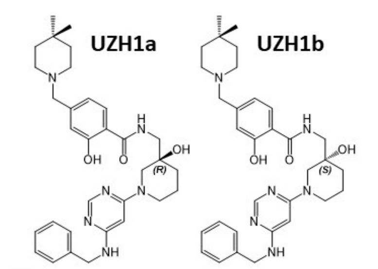 钻研人员汇报了一种拥有细胞渗入性的选择性METTL3纳摩尔抑造剂UZH1a，作者感激BB贝博合成了UZH1a和UZH1b