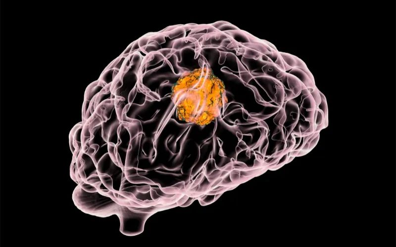 BB贝博助力 | 璧辰医药ABM-1310获美国FDA孤儿药资格认证，用于医治携带BRAF V600突变的脑胶质母细胞瘤患者