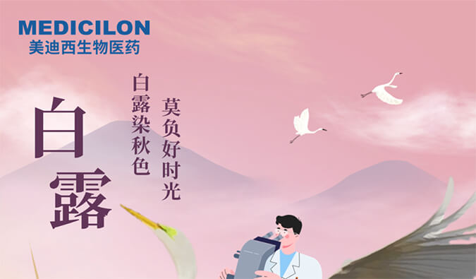 白露 | 白露染秋色，莫负好时光