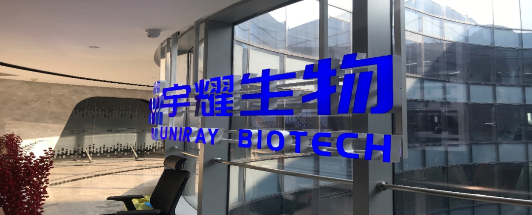 BB贝博助力 | 宇耀生物STAT3双磷酸化位点抑造剂YY201成功实现中美双报