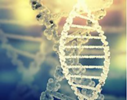 幼核酸药物合成