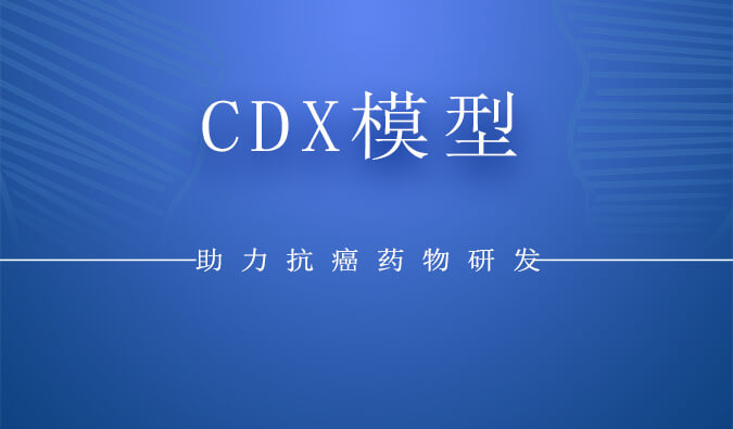 CDX模型.jpg