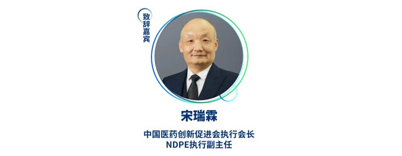 宋瑞霖--中国医药创新推进会执行会长、NDPE执行副主任.jpg