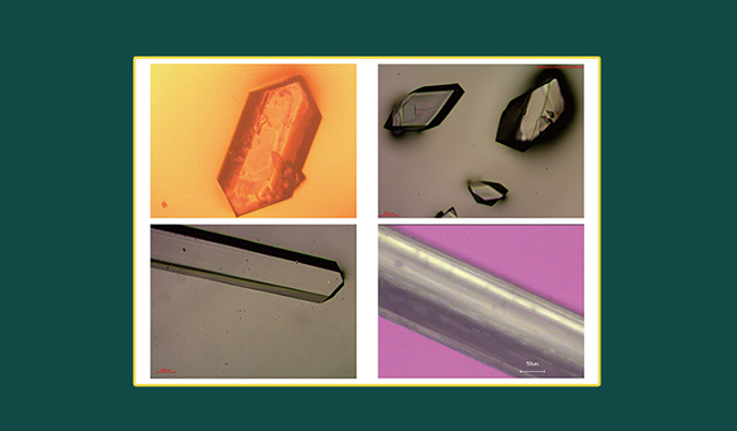 美研| CMC系列(十二)：单晶结构解析在药物开发中的利用和单晶造就哪些事儿