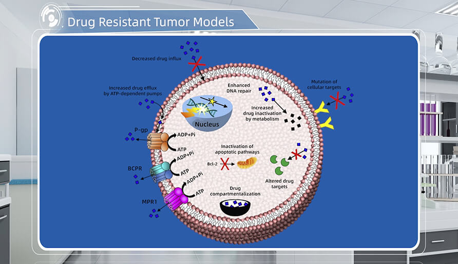 肿瘤耐药机造是什么？