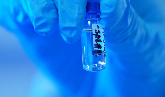 GLP-1“竞快赛”何以夺魁？