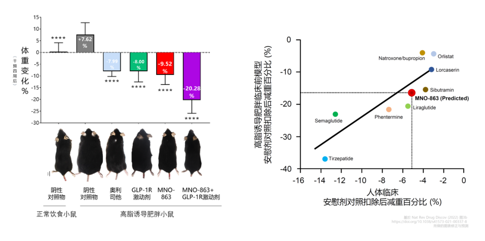 4周降低近10%体沉！BB贝博助力慕恩生物MNO-863活菌生物药获批临床