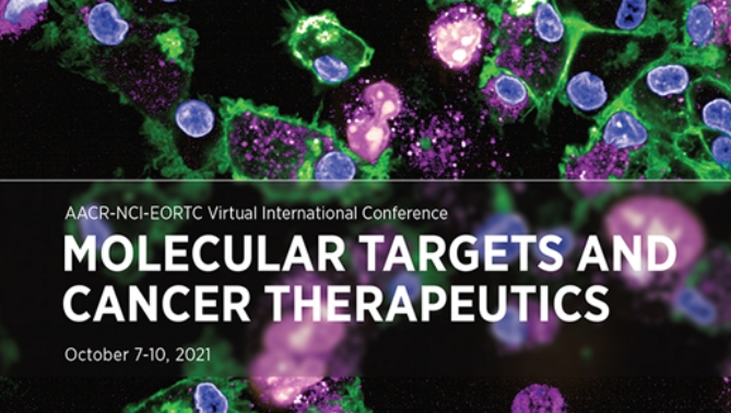 通过结合医治提高免疫疗法疗效，本钻研中临床前体内药效钻研通过BB贝博进行