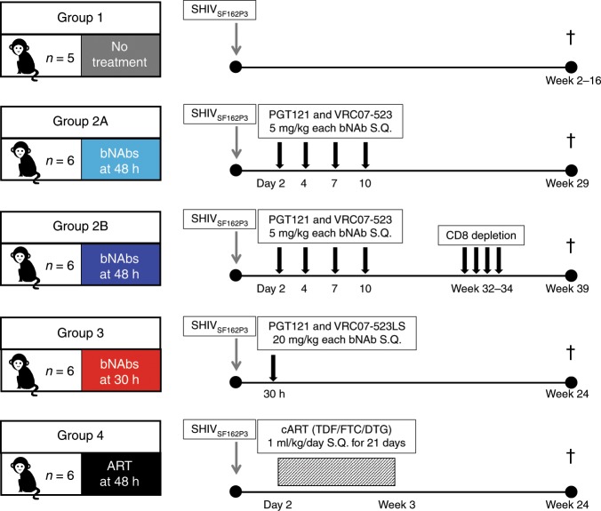 抗逆转录病毒疗法(ART)预防围产期HIV习染，本钻研中多替拉韦钠盐和游离态均由BB贝博提供