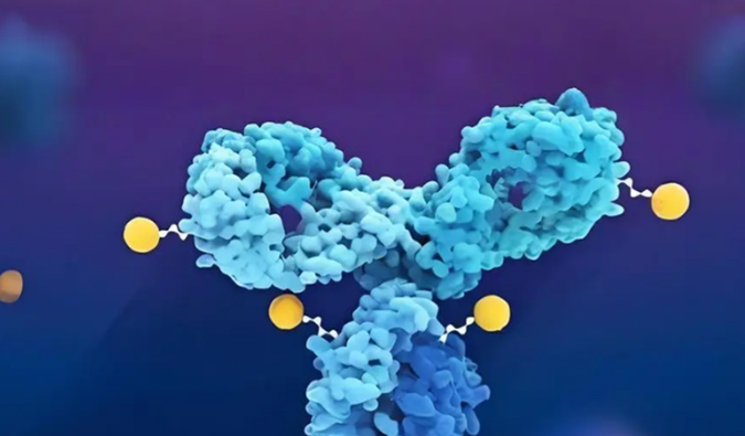 深度分解：ADC药物生物分析的考量成分
